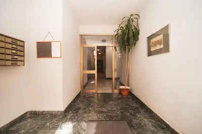 a hallway with a potted plant on the wall at Green Hill Buddyrent's in Rome