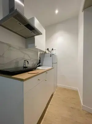 a white kitchen with a sink and a refrigerator at ALMA - Vatican Apartment in Rome