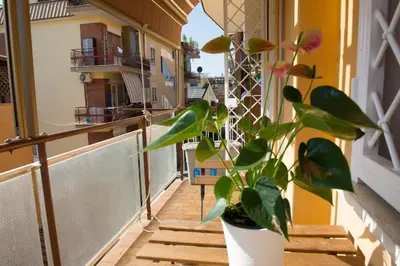 a plant in a white vase sitting on a balcony at A Casa di Lù a Roma Casa Vacanze in Rome