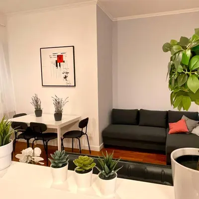a living room with a couch and a table with plants at Lazy Time Apartment in Rome