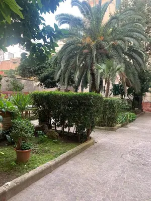 a park with palm trees and bushes and a sidewalk at Candia Delizioso Appartamento vicino al Vaticano in Rome