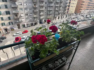 a balcony with red flowers on a city street at Valentina House in Rome