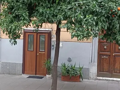 a tree in front of a building with a door at viaCatania16 in Rome