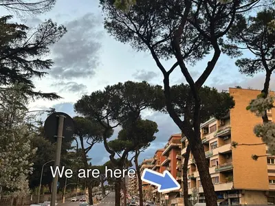 a sign that says we are here next to a tree at St.Peter's Moon in Rome