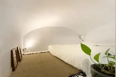 a bedroom with a white bed and a potted plant at Cozy Suite Saint John in Rome