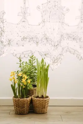three baskets with plants in them sitting on a floor at Casa Riva 1920 in Rome