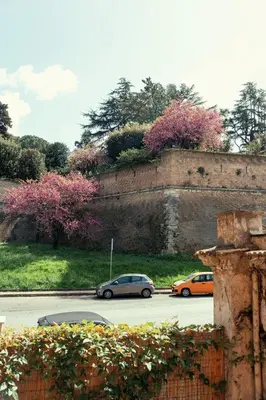 two cars parked in a parking lot next to a wall at Art House Vaticano Apartment in Rome