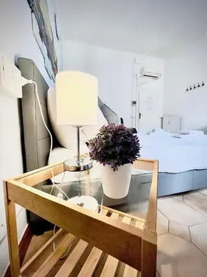 a room with a bed and a table with a plant at Rome Room Vatican in Rome