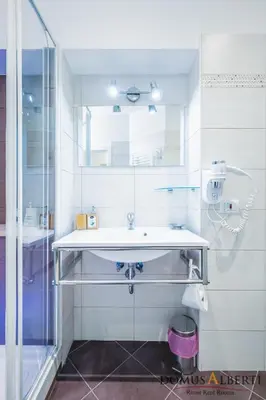 a bathroom with a sink and a glass shower at Domus Alberti Bed & Breakfast in Rome