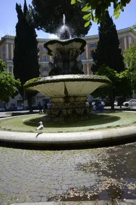 a fountain with a bird sitting in front of it at Prati House in Rome
