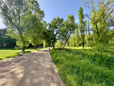 a dirt road in a park with trees and grass at Olimpia Villa Pamphili - Centro Storico di Roma - Gianicolo Trastevere San Pietro in Rome