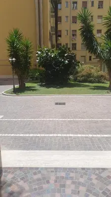 a street with palm trees and a building at Appartamento Roman Feelings in Rome