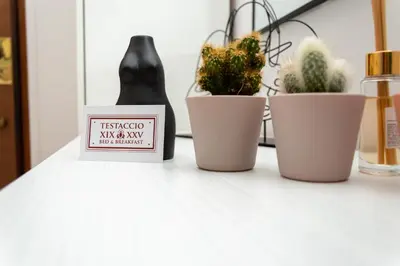 a bottle ofikiiki mix way next to potted plants at TESTACCIO XIX-XXV Bed & Breakfast in Rome