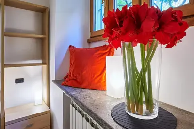 a vase with red flowers sitting on a counter at Central Suite Navona Campo de Fiori IREX Apartment in Rome
