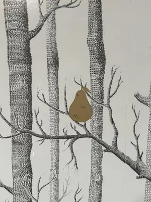 a bird perched on a tree branch at Fiorini - Rooms in Rome