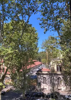 an old building with trees in front of it at Vatican Prestige - Meospiti Cesare Exclusive in Rome