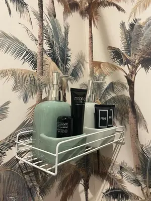 a shelf on a wall with palm trees at Vita lenta Roma Pigneto terrazza in Rome