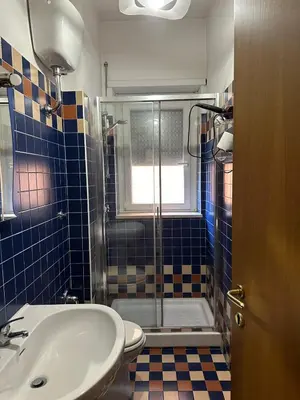 a bathroom with a shower and a sink and a toilet at Palm Rooms in Rome