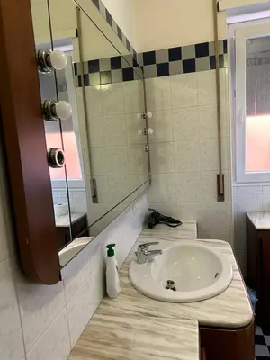 a bathroom with a sink and a mirror at Palm Rooms in Rome