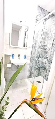 a bathroom with a shower and a yellow flower on the floor at Dolce Titina Affittacamere in Rome