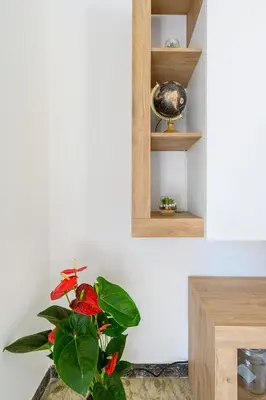 a plant in a room with a shelf and a mirror at Domus Vatican View - San Pietro in Rome