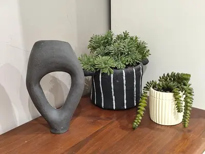 two plants in vases sitting on a wooden floor at Appartamento Suite Ponte Milvio in Rome