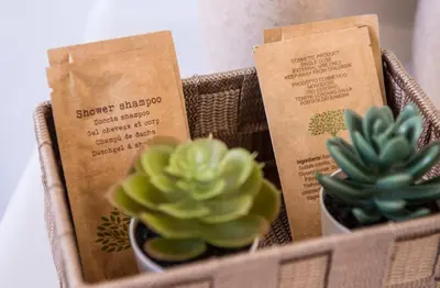 two potted plants sitting in a basket with cards at New special vrbs Roma apartament in Rome