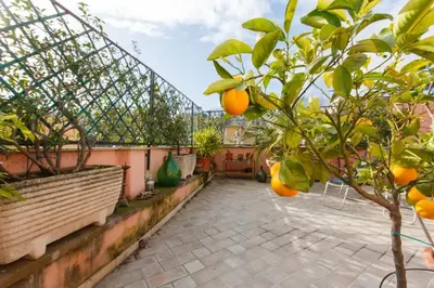 an orange tree in a garden with a fence at Sales in Rome