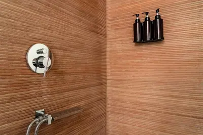 a bathroom with a shower with a shower head at ophelia apartment in Rome