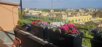 four potted plants on a balcony with a city at Vatican Roma Caput Mundi in Rome
