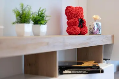 a shelf with two plants and a bouquet of roses at Luxury and Sweet home-Metro Malatesta in Rome