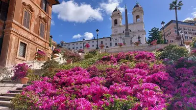 a bunch of pink flowers in front of a building at SAN PIETRO VATICAN AREA LARGE APARTMENT - near SUBWAY in Rome