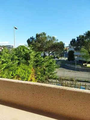 a view of a park with trees and bushes at La casa di Gloria in Rome