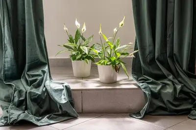 two potted plants sitting on a step with green curtains at Belle Arti home in Rome