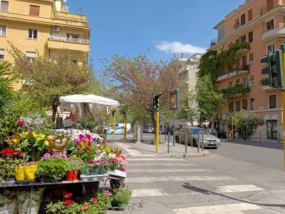 a bunch of flowers on a city street at Livorno by Halldis in Rome