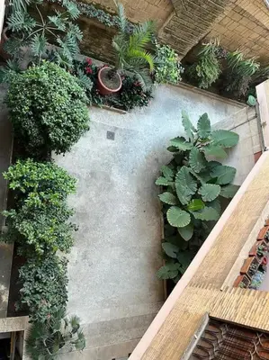 an overhead view of a garden with plants at Casa Dalia in Rome