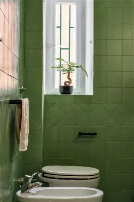 a green bathroom with a toilet and a potted plant at Colosseo House in Rome