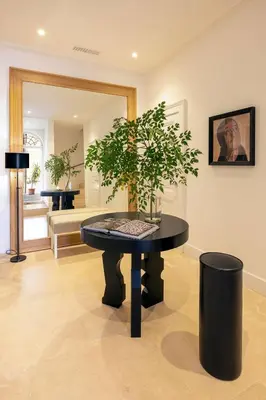 a room with a table with a potted plant on it at Viam Villa Futura in Rome