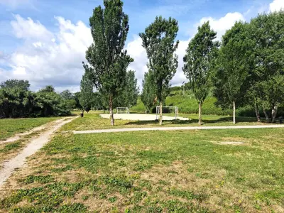 a field with trees and a dirt road at Lacasadirosa in Rome