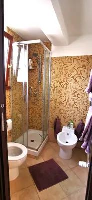 a bathroom with a shower and a toilet and a sink at Penthouse loft with view in Rome