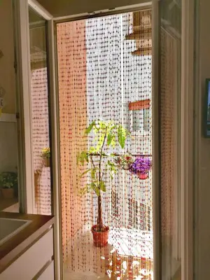 a plant in a window in a kitchen at Apuleio 11 in Rome