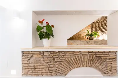 a shelf with a plant on top of a brick fireplace at Pantheonview - Luxury Suites in Rome