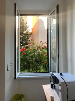 a window with a view of a bush of red flowers at Appartamento degli Eroi in Rome