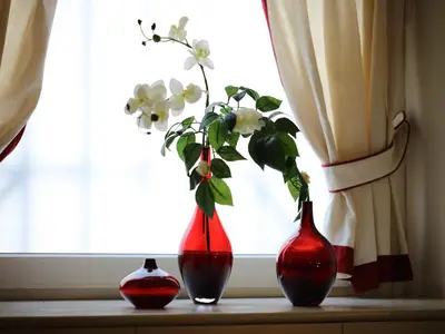 three red vases sitting on a window sill with a plant at Sweet Home Colosseo in Rome