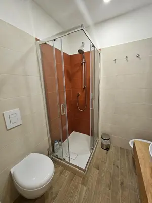 a bathroom with a shower with a toilet and a sink at Campani Luxury Suite in Rome