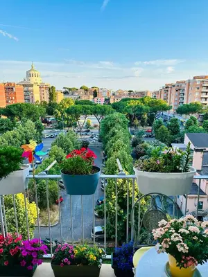 a balcony filled with potted plants and a city at Sanpaolo Modern Aesthetic B&B in Rome