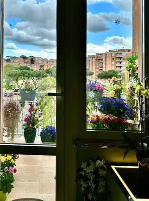 a window view of a garden with flowers at Sanpaolo Modern Aesthetic B&B in Rome