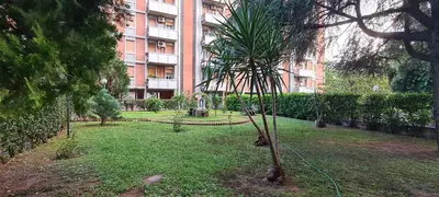 a palm tree in a yard in front of a building at Rome at Hand in Rome
