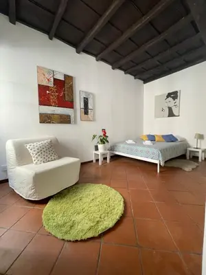 a living room with a couch and a bed and a rug at A Den for Two in Rome