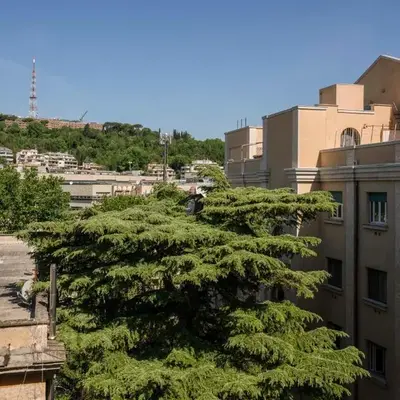 Vatican Zen House - Cale 05